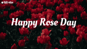 Read more about the article 7th February Happy Rose Day Shayari, Wishes | रोज डे शायरी